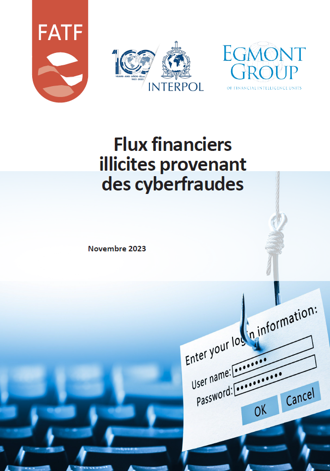 Flux financiers illicites provenant des cyberfraudes